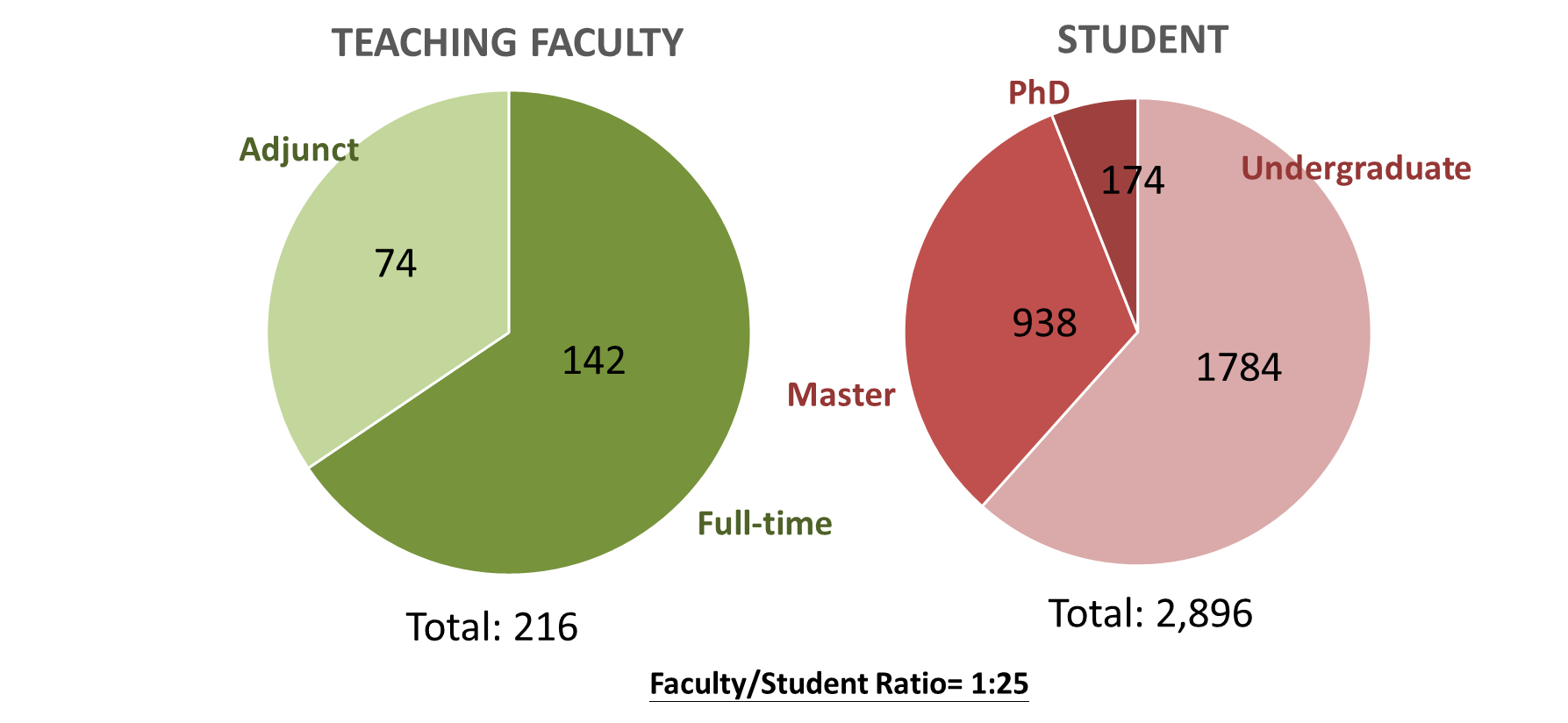 number of faculty and student